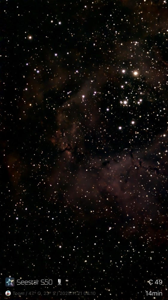 C42 - Nebulosa Roseta