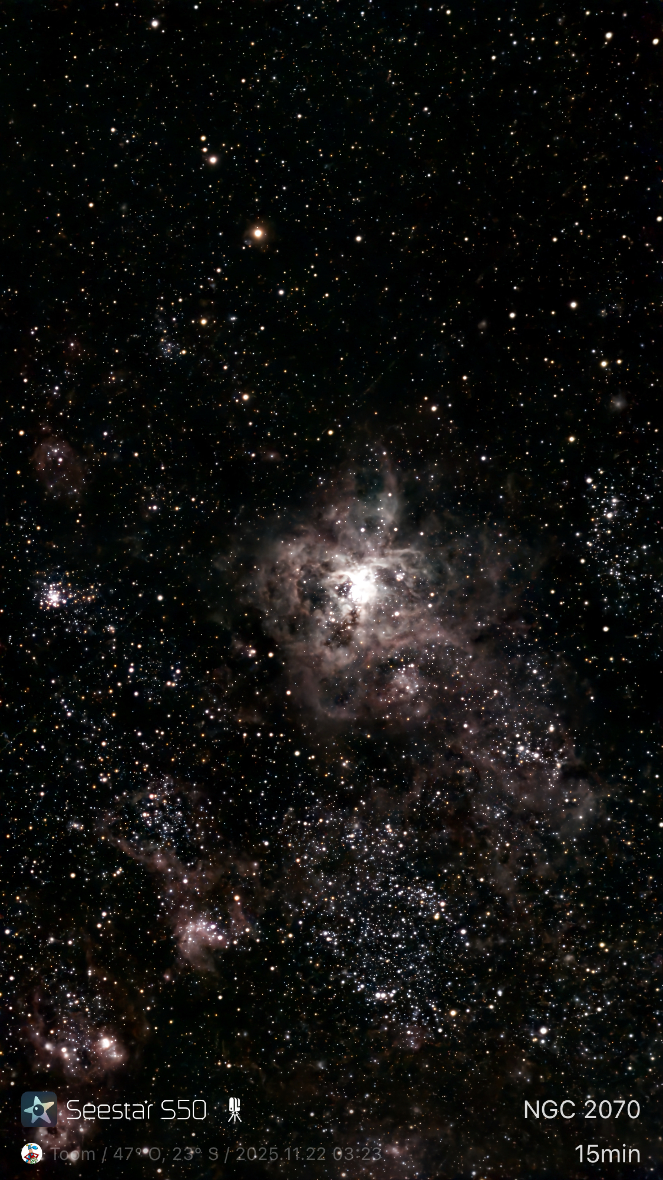 NGC 2070 - Nebulosa da Tarântula