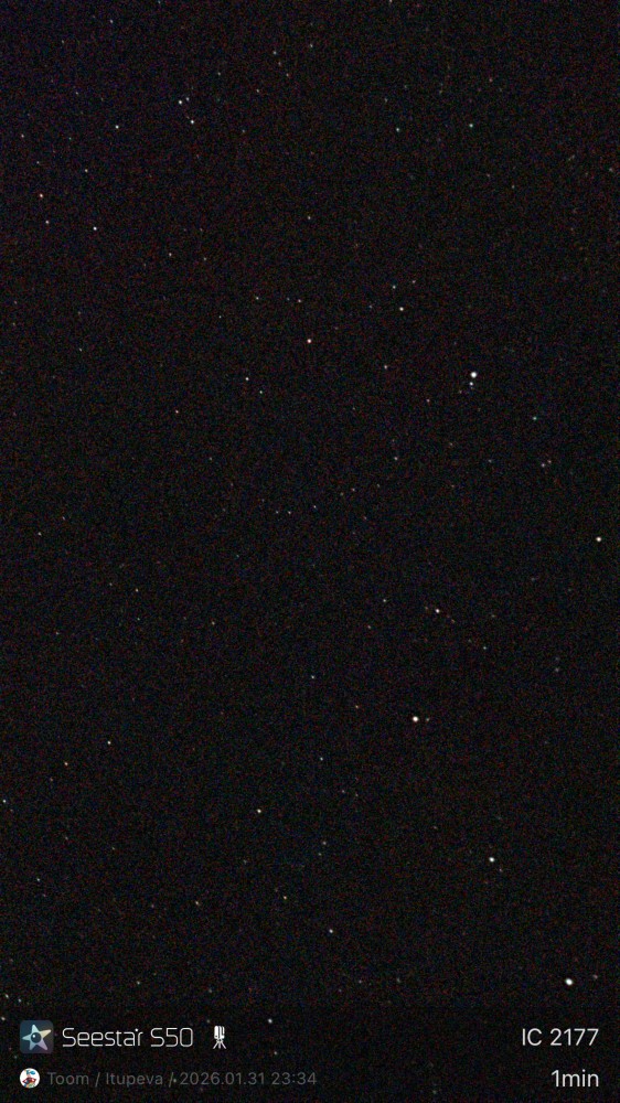 Stacked 4 IC 2177 5.0s LP 20260131 233423