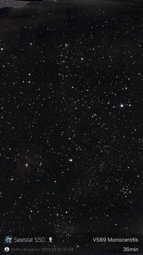 V569 Monocerotis
